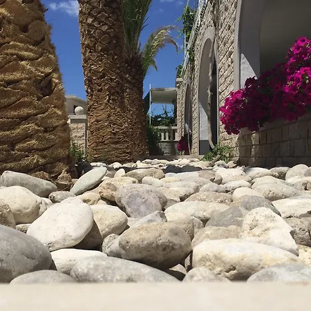 Apartman Mikulic Baska Voda